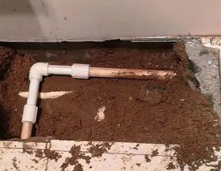 穆棱测漏水哪家好