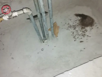 穆棱卫生间测漏水价格明细