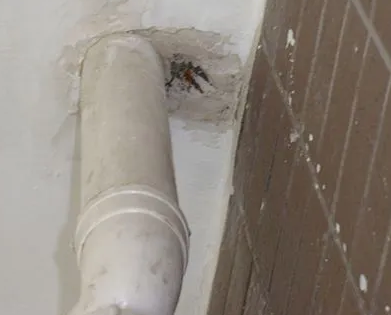 穆棱漏水检测哪家好